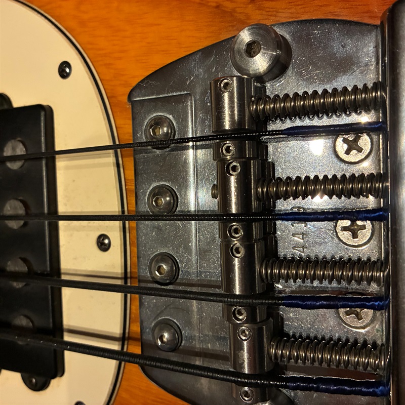 MUSICMAN スティングレイの画像